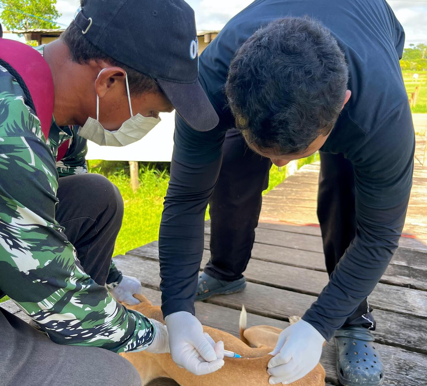 Prefeitura de Ipixuna inicia Campanha de Vacinação Antirrábica 2025