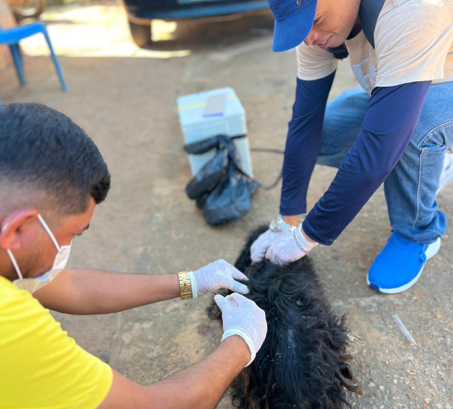 Prefeitura de Ipixuna inicia Campanha de Vacinação Antirrábica 2025