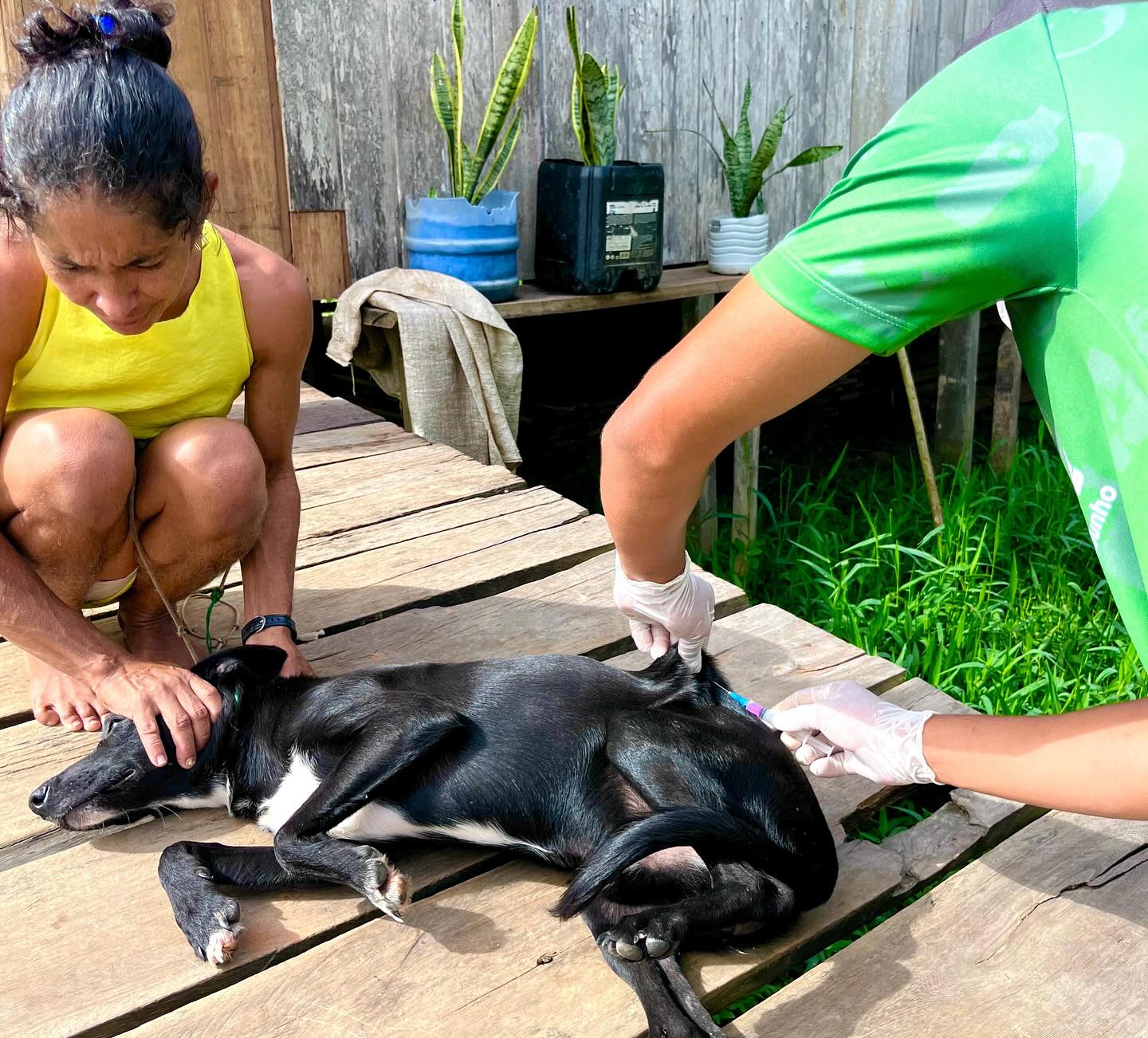 Prefeitura de Ipixuna inicia Campanha de Vacinação Antirrábica 2025