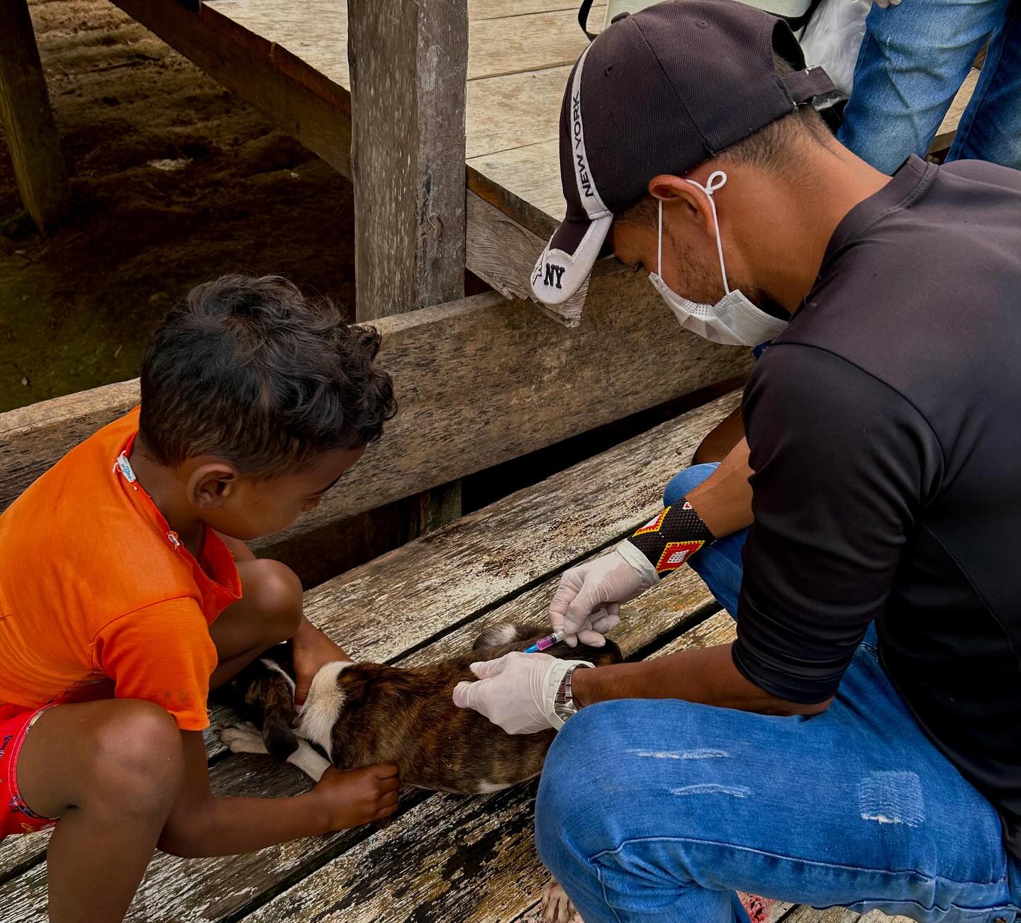 Prefeitura de Ipixuna inicia Campanha de Vacinação Antirrábica 2025