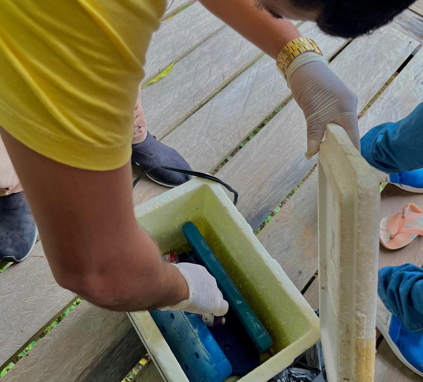 Prefeitura de Ipixuna inicia Campanha de Vacinação Antirrábica 2025